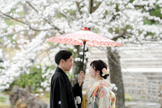 昨年の桜シーズンフォト