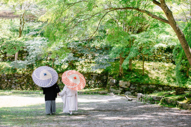 新緑シーズンのお写真紹介