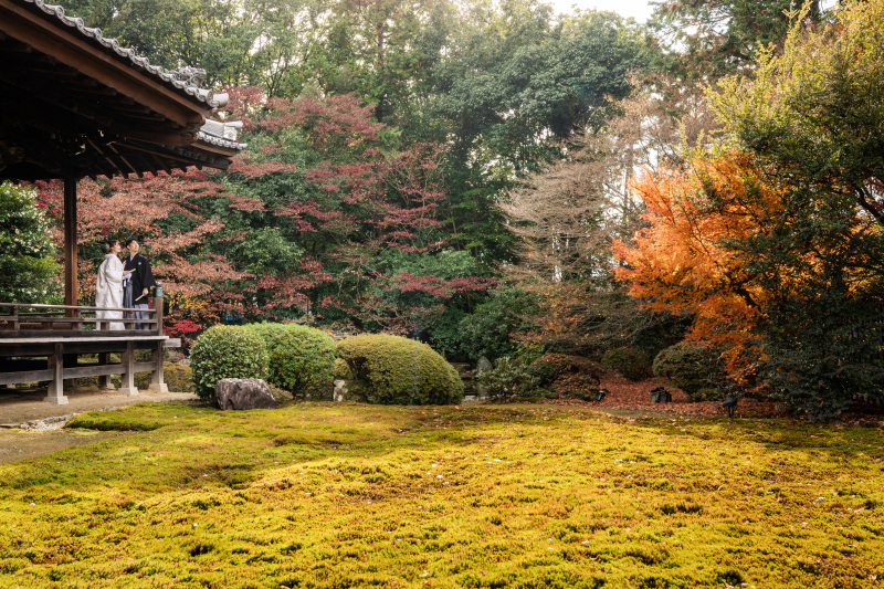 12月の撮影レポ｜随心院にて