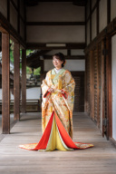 トレンドの色打掛のご紹介