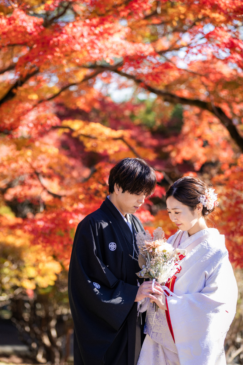 紅葉シーズンもご予約受付中!
