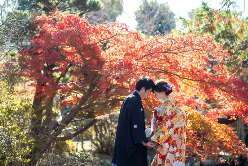紅葉シーズンロケ地!
