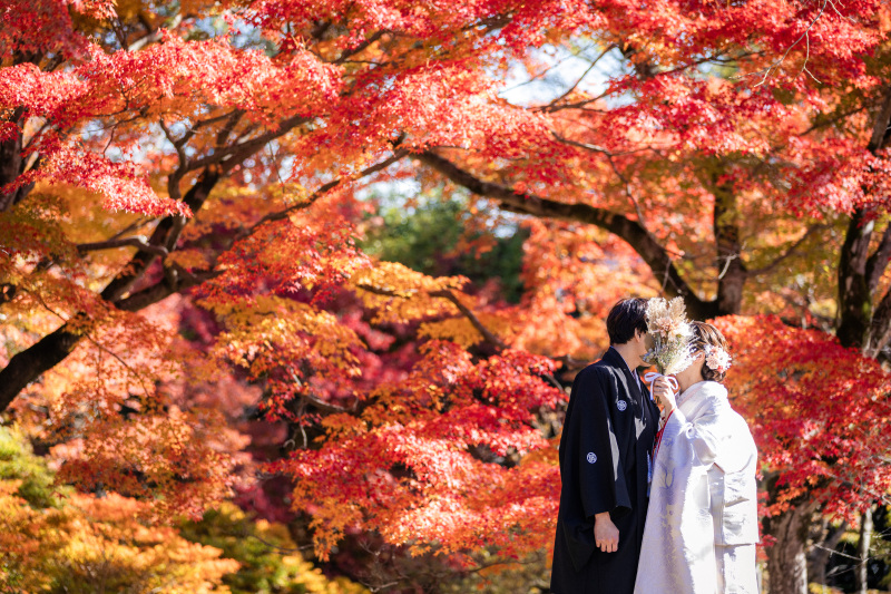 紅葉シーズンもご予約受付中!