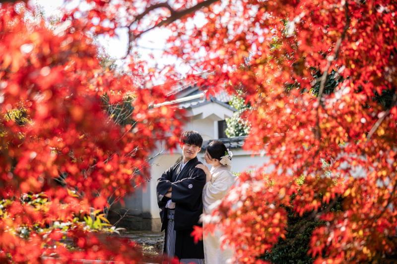 昨年紅葉シーズンのお写真