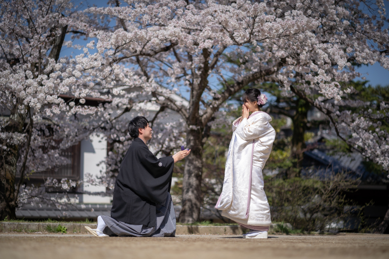 昨年の桜シーズンフォト