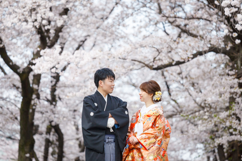 桜シーズンのお写真!