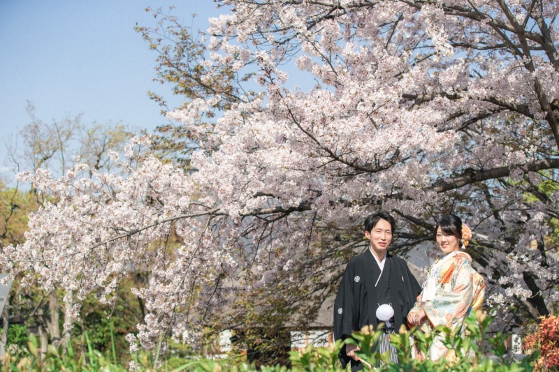 春の前撮り〜八坂の塔周辺〜