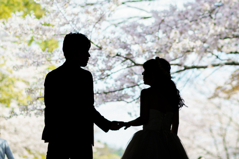 桜シーズンのお写真!