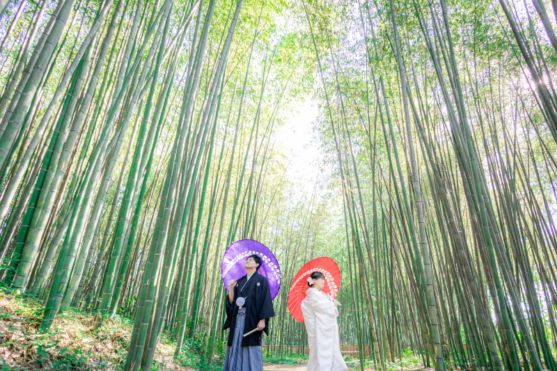 【撮影レポ】10月の大覚寺にて