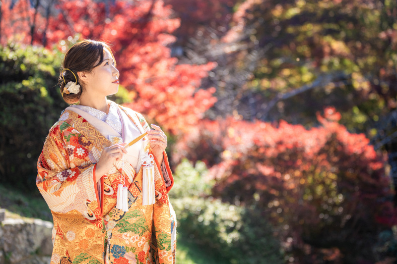 昨年紅葉シーズンのお写真