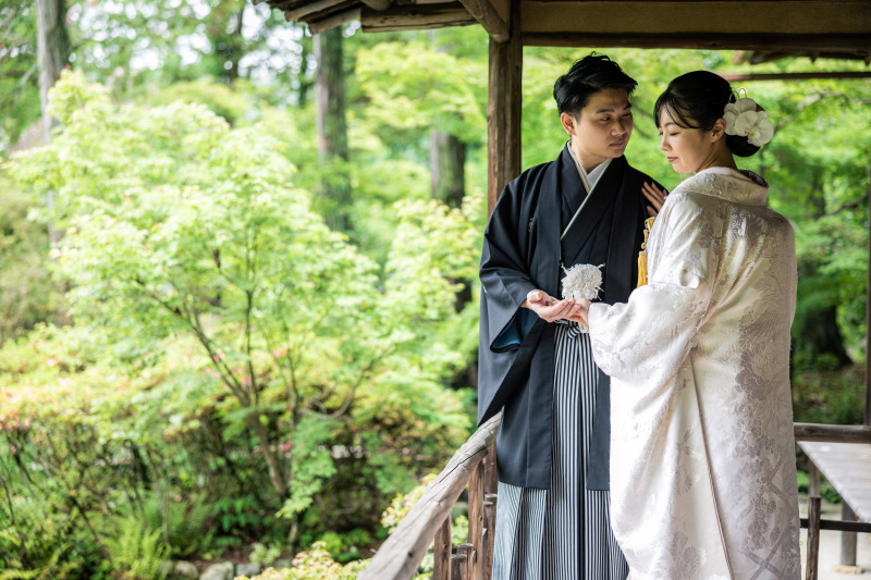 6月からのキャンペンーン情報