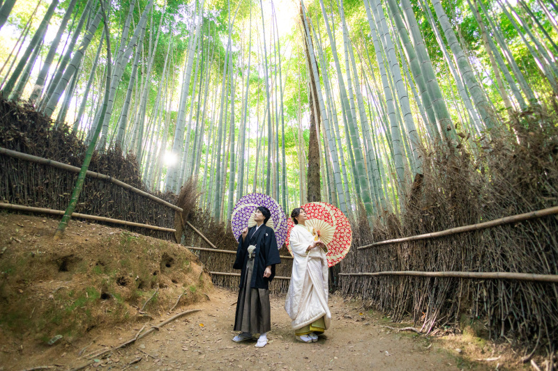 ９月～11月のお写真まとめ