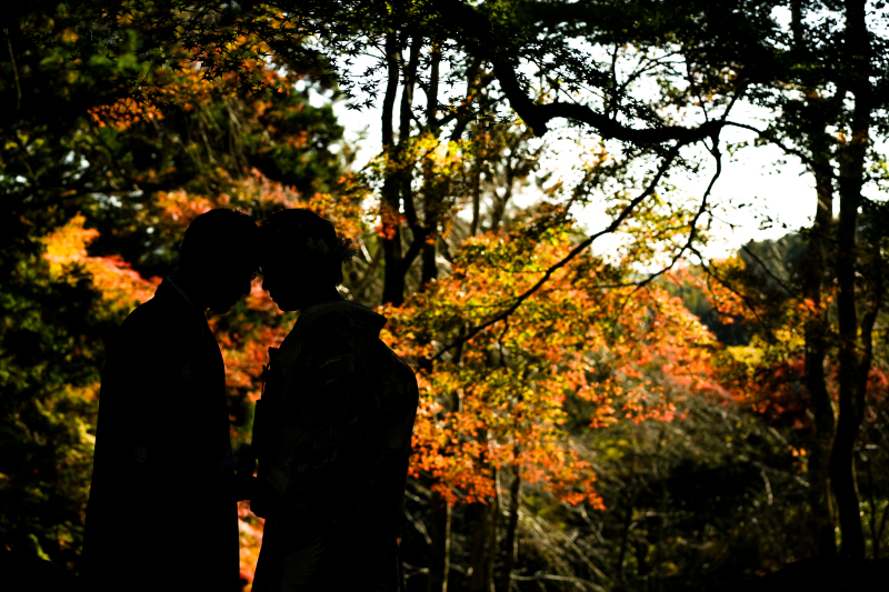 紅葉シーズンのお写真♡