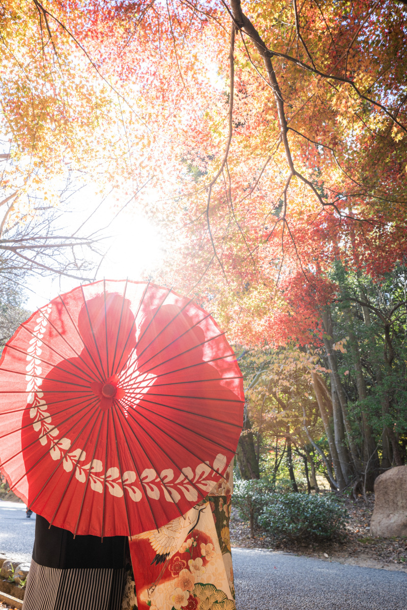 11月下旬|紅葉シーズンの前撮り風景