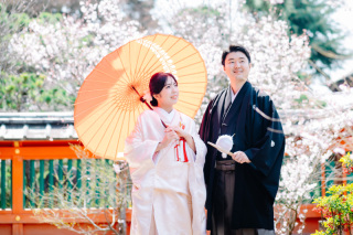 桜シーズンロケ地のご紹介