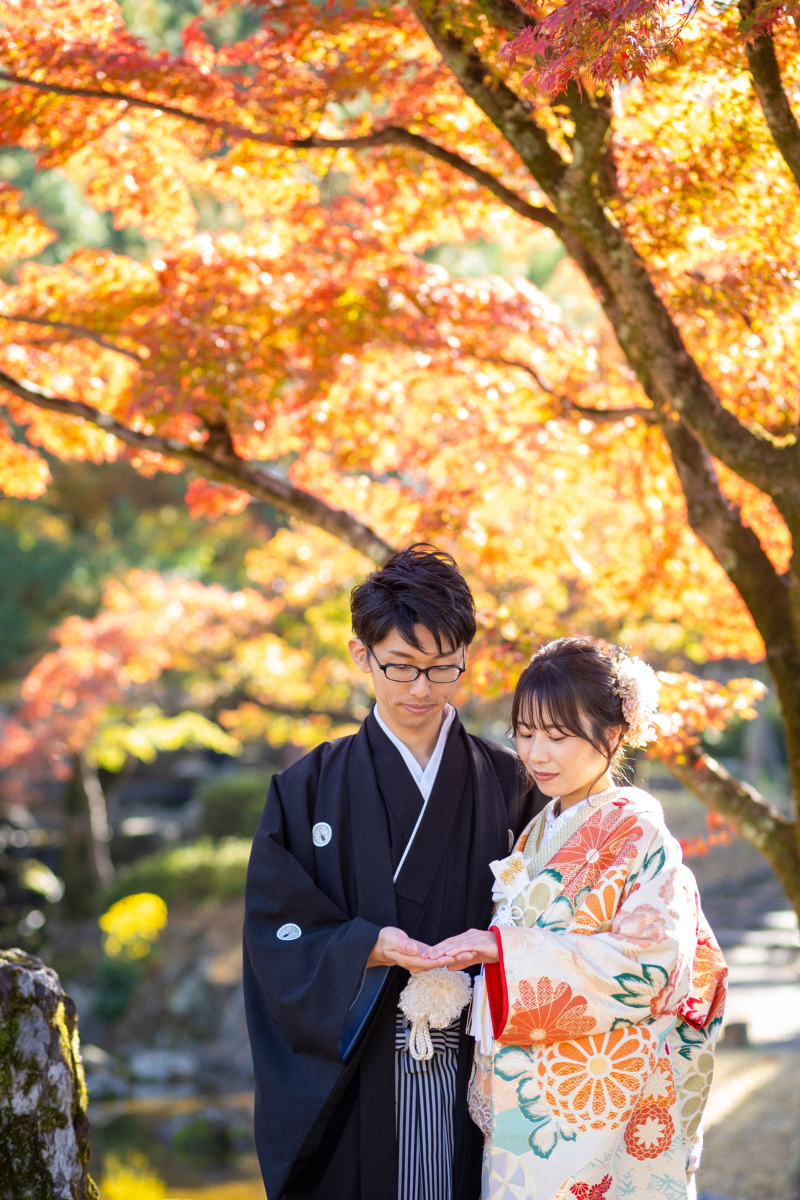 トレンドの色打掛のご紹介