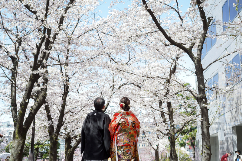 桜、ロケ撮影！