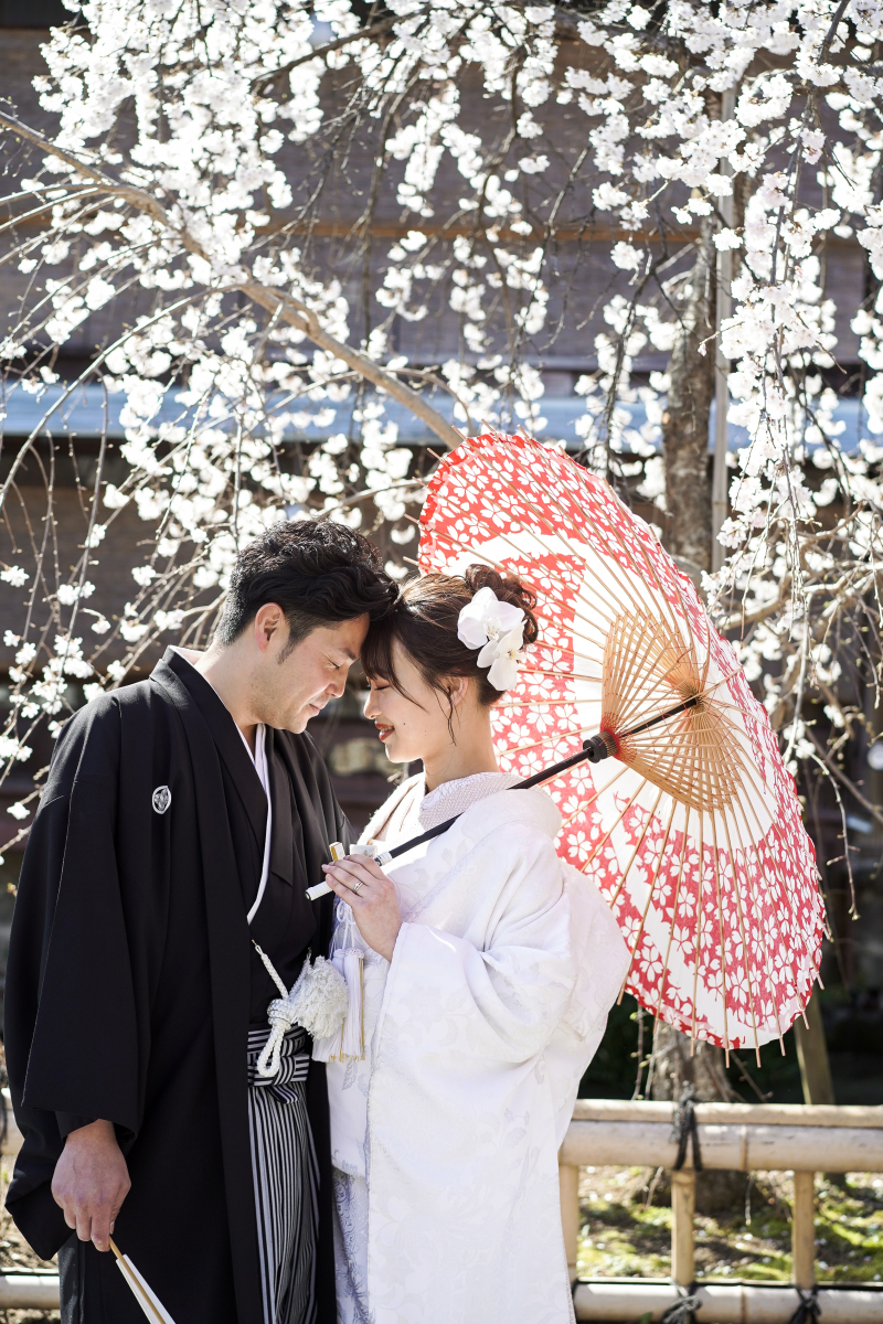 昨年の桜シーズンフォト
