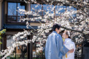 桜シーズンの和装前撮り風景｜京都祇園にて