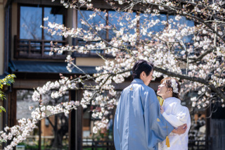 桜シーズンの和装前撮り風景｜京都祇園にて