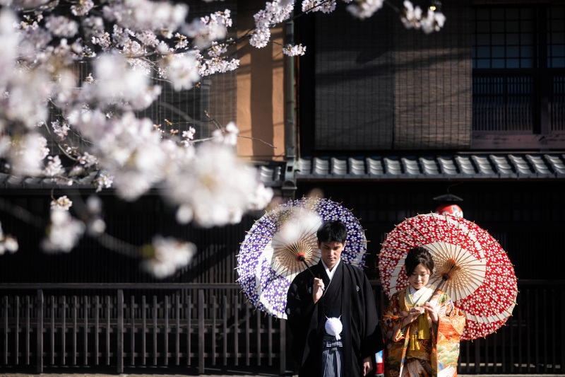 桜時期のロケ地紹介ー祇園ー