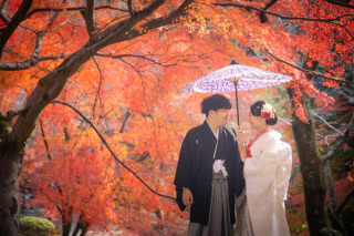 紅葉のお写真紹介