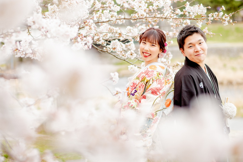 桜、ロケ撮影!