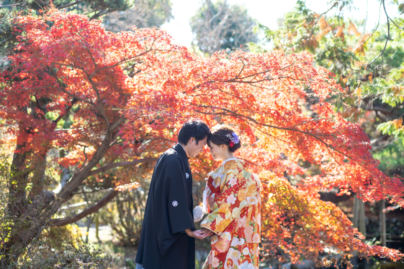 紅葉時期まだ対応可能です☆