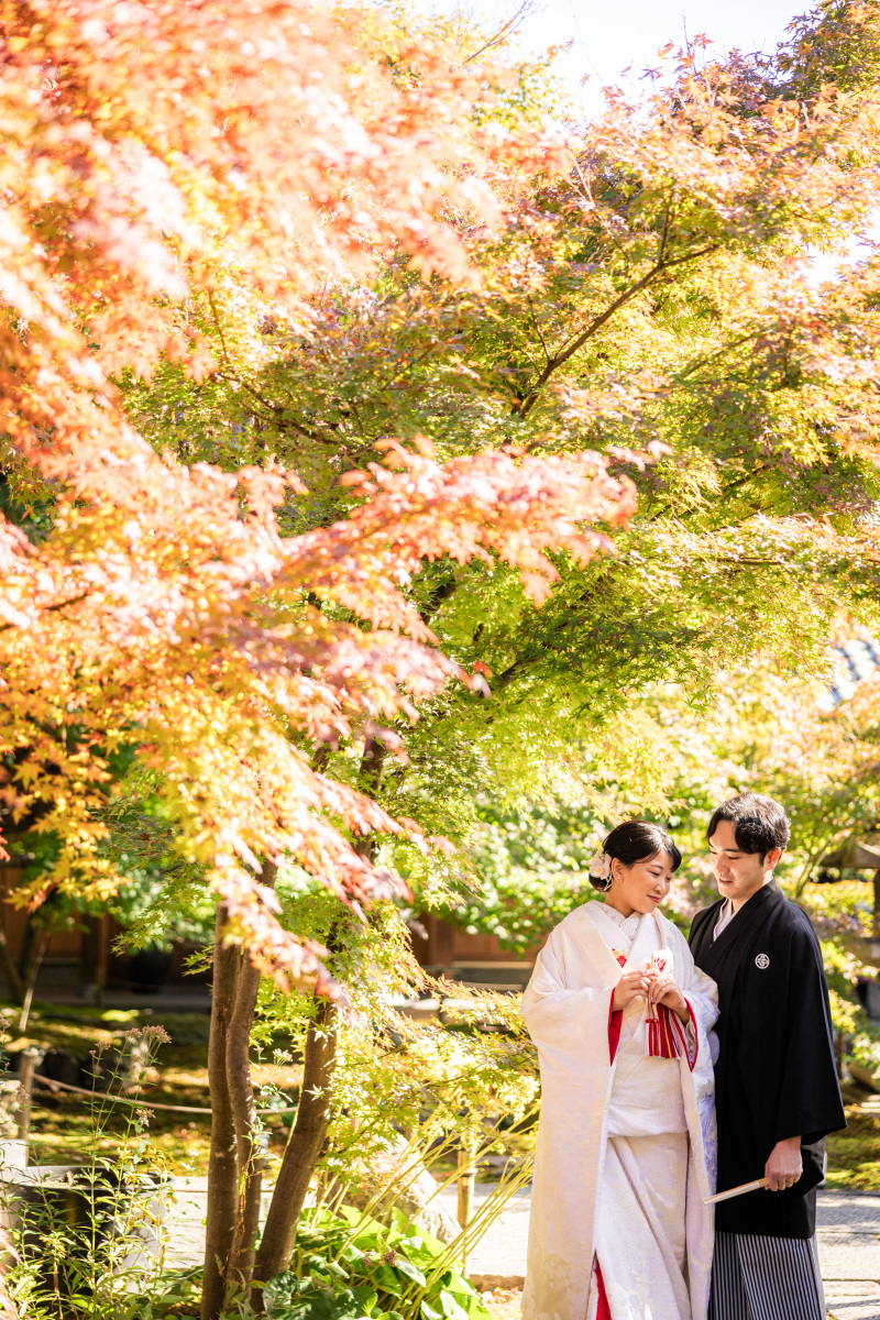 紅葉シーズンご予約受付中!