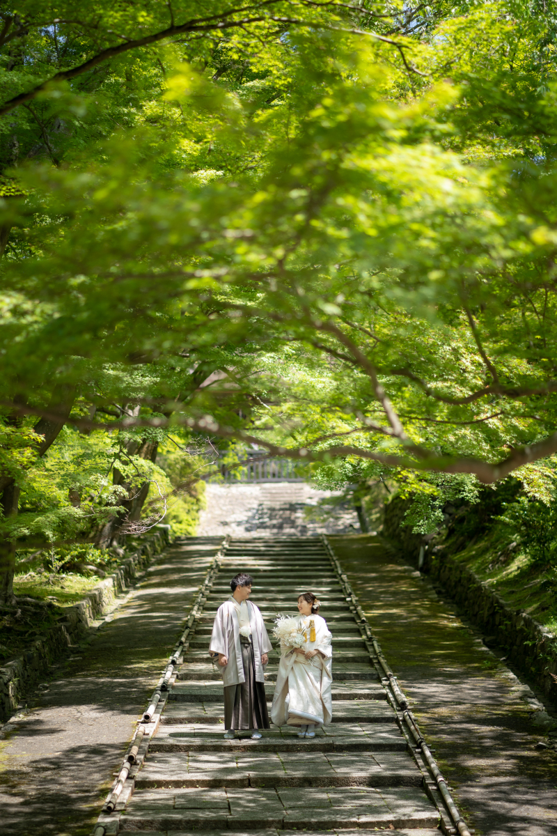 新緑シーズンの撮影風景！