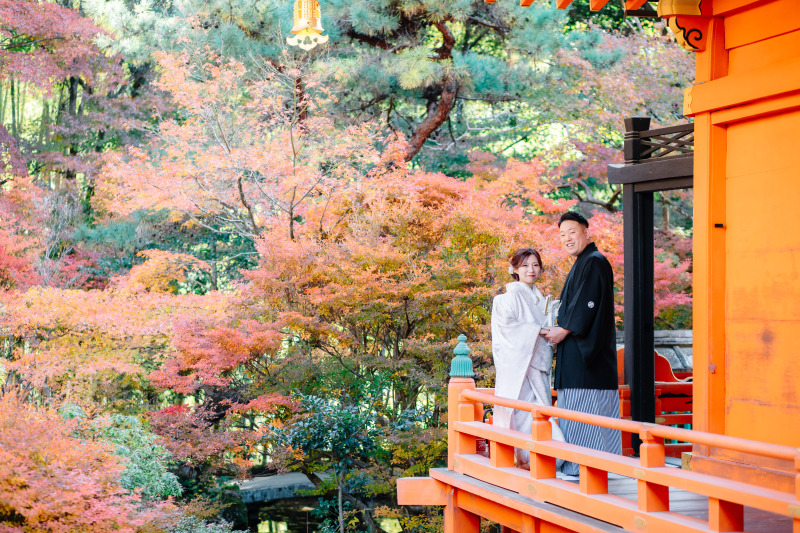 紅葉シーズンの撮影風景｜11月下旬