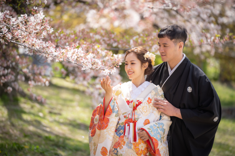 昨年の桜シーズンフォト