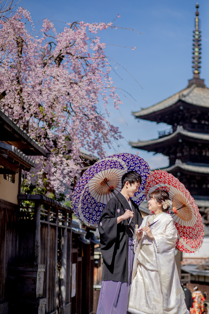 桜、ロケ撮影!