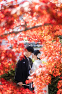 12月上旬の撮影レポ｜紅葉シーズン