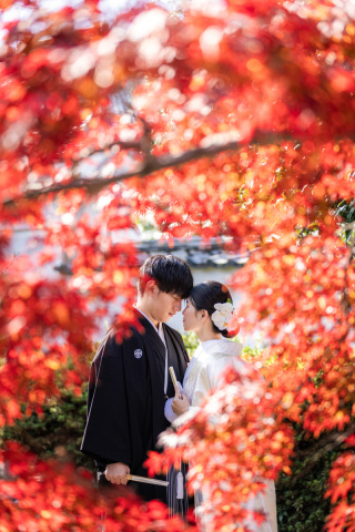 12月上旬の撮影レポ|紅葉シーズン