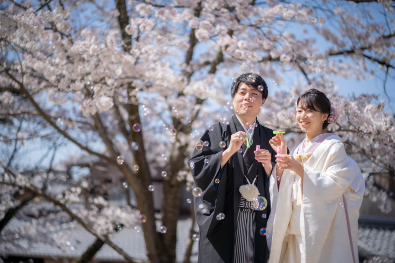昨年の桜シーズンフォト
