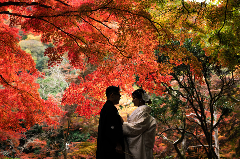 紅葉シーズンご予約受付中!