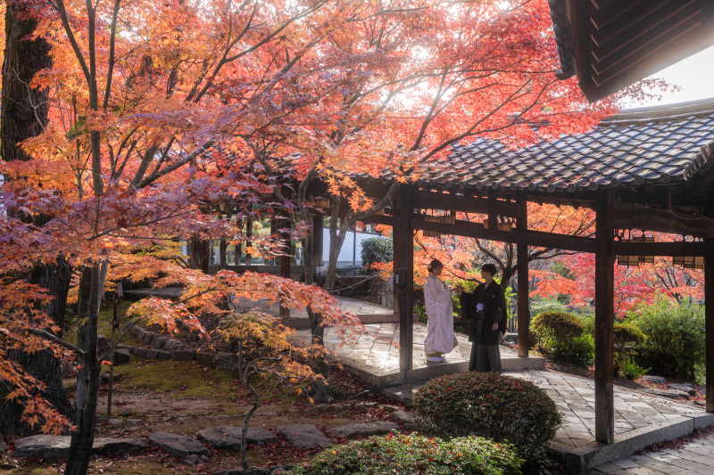 昨年紅葉シーズンのお写真