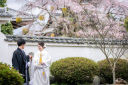 桜シーズンのお写真｜3月下旬～4月上旬
