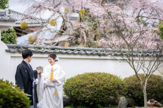 桜シーズンのお写真｜3月下旬～4月上旬