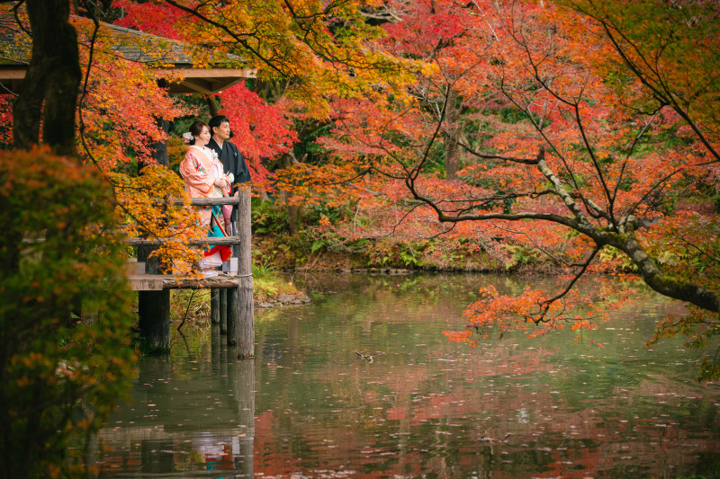 色とりどりの景色の中で　色打掛　自然公園にて