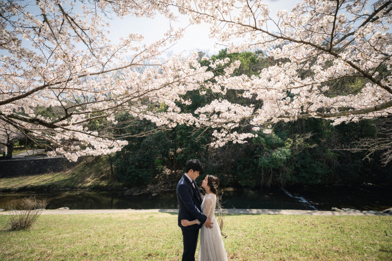 桜時期の予約について