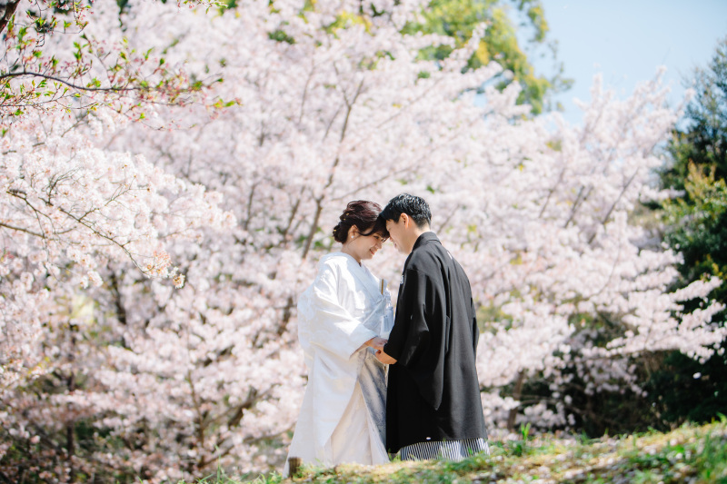 桜シーズンのお写真!