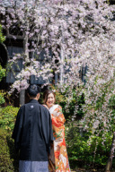 4月｜八坂の塔付近＆毘沙門堂にて