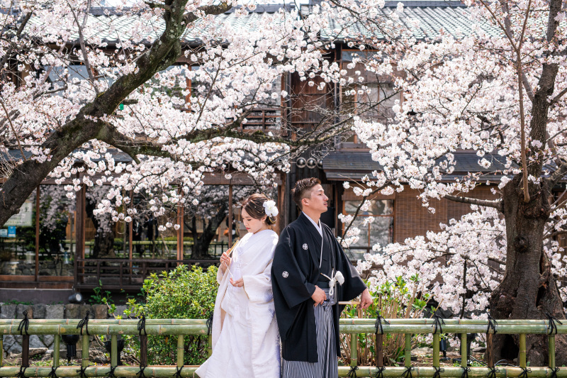 桜時期のお写真