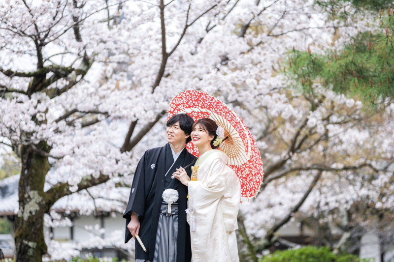 3月撮影の様子【萬福寺＆アンティークチャペルスタジオ】