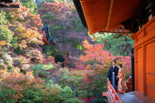 紅葉ご希望の方は9月17日までに予約完了がお得です