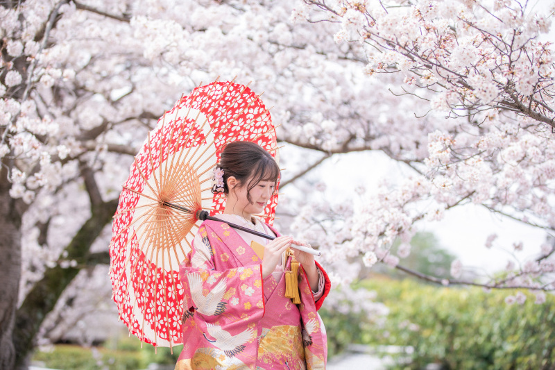 桜時期のお写真