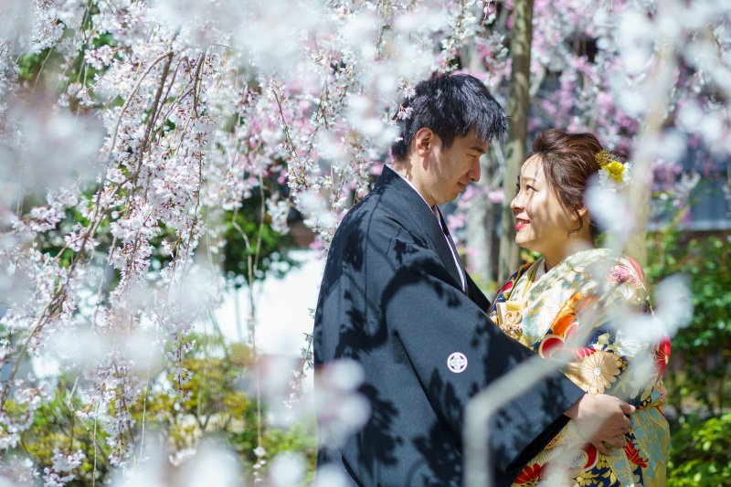 桜シーズンのお写真!