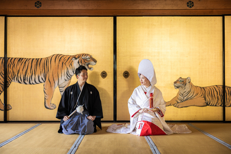 夏季シーズンの撮影レポ【金戒光明寺】